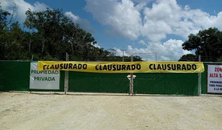 Jueza frena operación de megagranja de cerdos en Yucatán