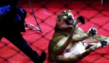 Así fue el momento en el que una leona atacó a una nena en un circo en Rusia