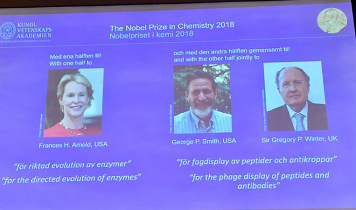translated from Spanish: Awarded the Nobel Prize in chemistry to three scientists for advances in the development of proteins
