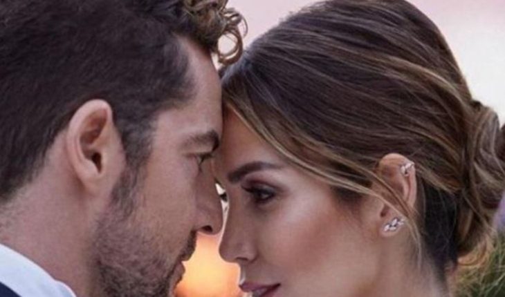 translated from Spanish: David Bisbal will again become a father