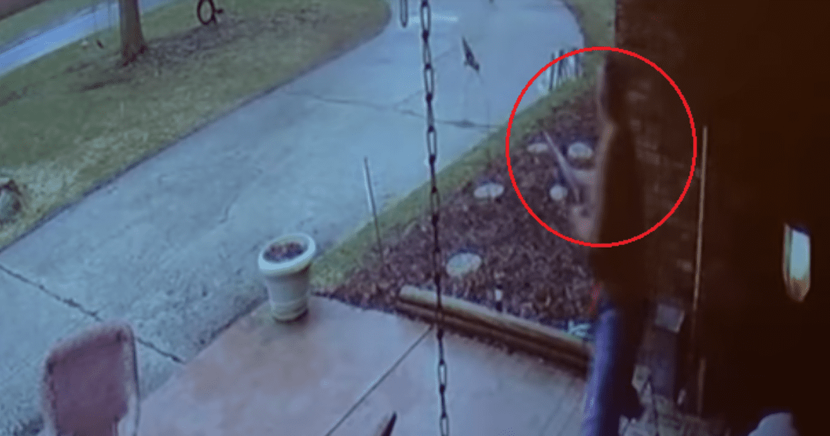Minor enlists the help of his neighbor and this attacks him to death (Video)