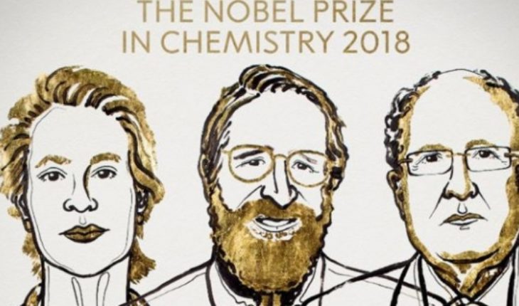 translated from Spanish: Nobel Prize in chemistry for advances in developing protein-based genetic changes and selection