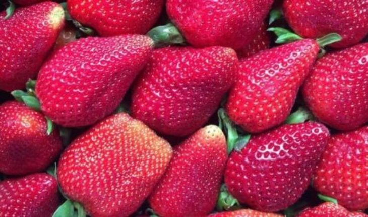 translated from Spanish: The pleasure of eating strawberries at any price: how much to pay for a kilo?