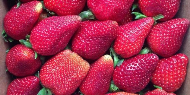 The pleasure of eating strawberries at any price: how much to pay for a kilo?