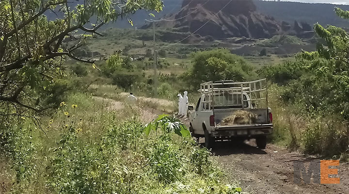 They are gunned down corpse and stolen truck near the highway Morelia-Cutò of hope