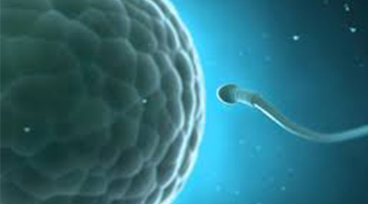 They are warning about a crisis of male fertility