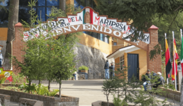 Abren santuarios de mariposa monarca en Michoacán y EdoMex