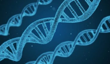 Califican de “prematuro, peligroso e irresponsable” supuesta modificación genética realizada en embriones humanos