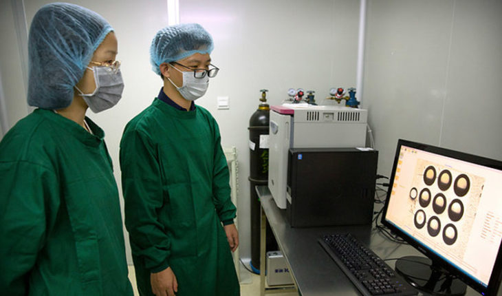China ordenó detener trabajos de científicos implicados en el caso de los bebés modificados genéticamente