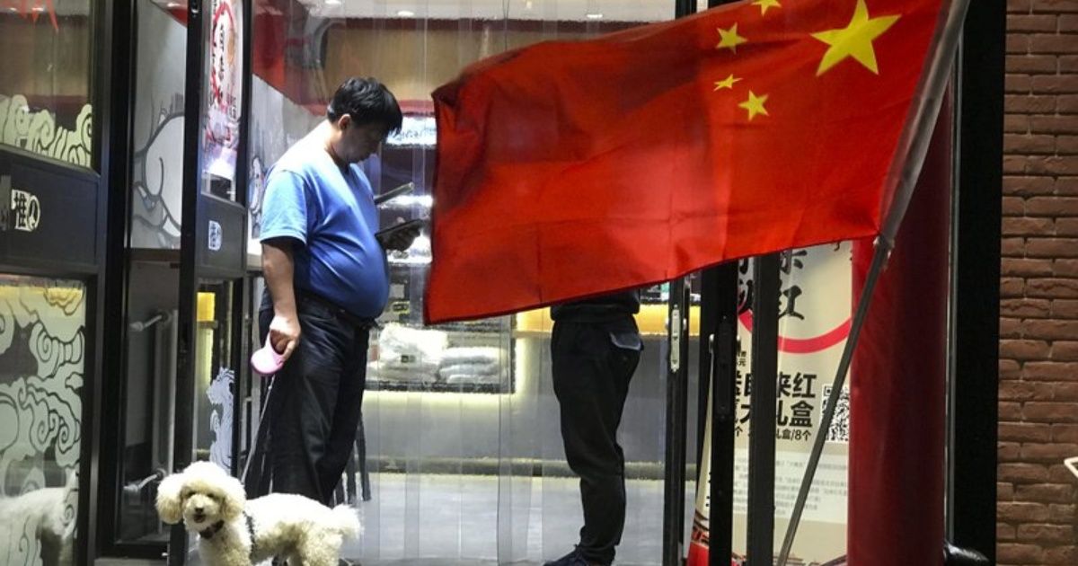 Ciudad china limita presencia de perros en espacios públicos