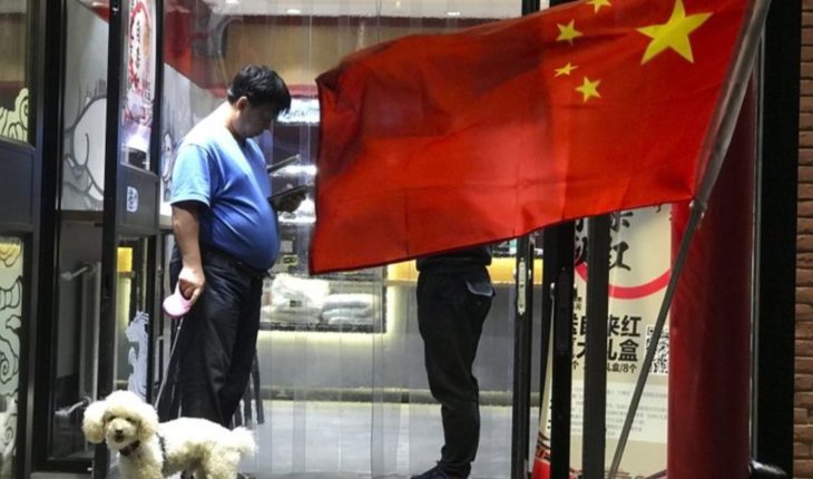 Ciudad china limita presencia de perros en espacios públicos
