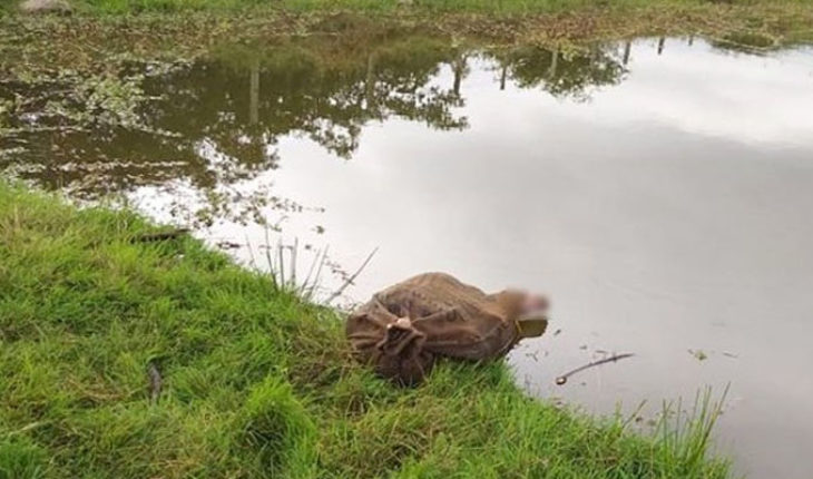 Encuentran en un saco de yute, cuerpo de niña desaparecida en Veracruz