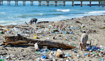 Estas son las empresas que más contaminan los mares en México