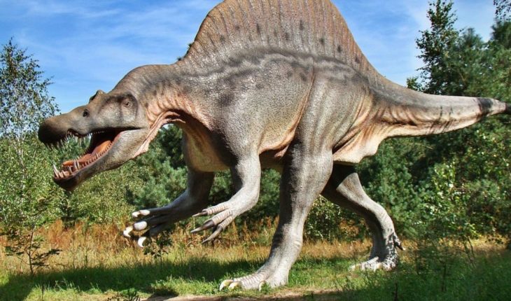 Hallan nueva especie de dinosaurio que vivió hace 110 millones de años