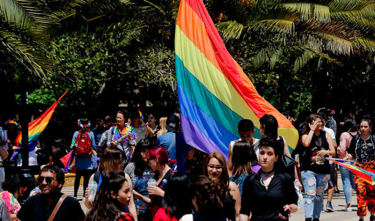 Matrimonio igualitario y adopción homoparental marcaron Marcha por la Igualdad