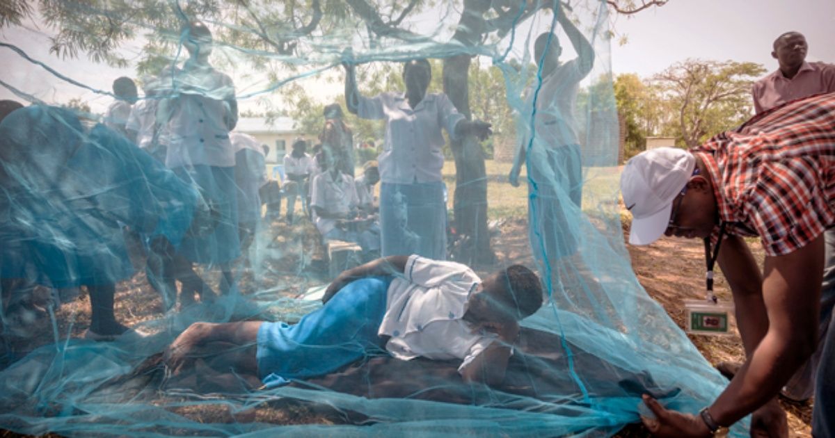 Repuntan muertes por malaria en América en 2017