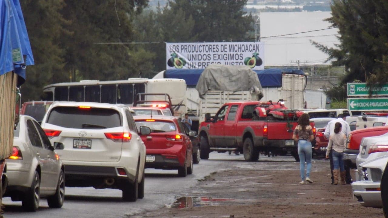 Se agudiza conflicto entre aguacateros y empacadores en Michoacán