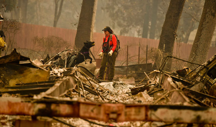 translated from Spanish: 42 came up the dead in the massive fire in California