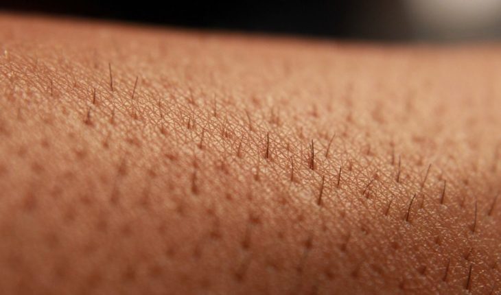 translated from Spanish: Create photosynthetic skin which can regenerate human tissue