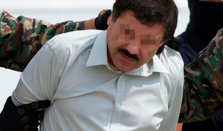 translated from Spanish: El Chapo Guzmán, of the throne of the drug to the bench of Justice