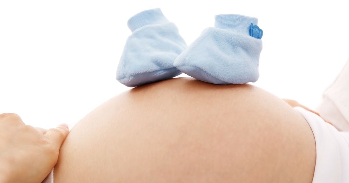 Mini placentas para estudiar las enfermedades durante el embarazo