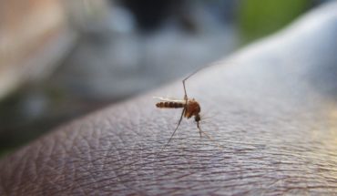 translated from Spanish: Reports Jalisco mil 555 cases of dengue fever; Van 3 deaths