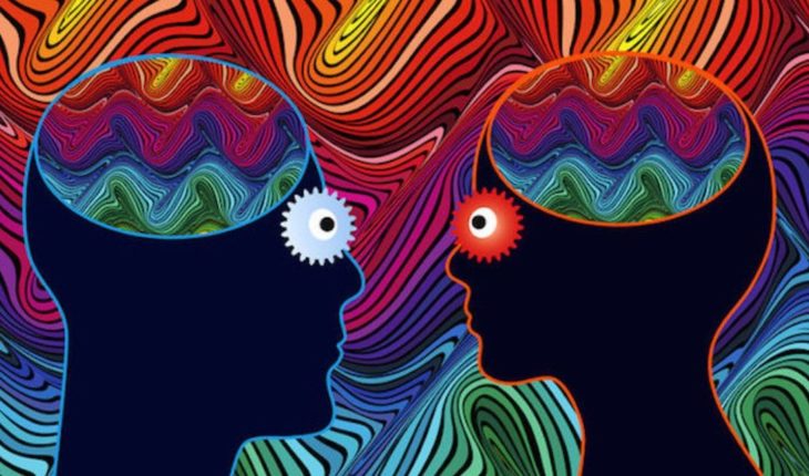 translated from Spanish: The use of hallucinogens in small doses can awaken the creativity and improve cognitive skills