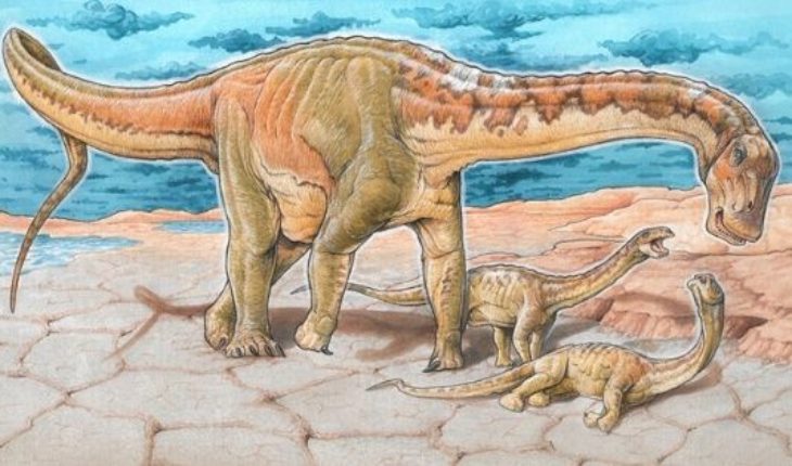 translated from Spanish: They found a new species of dinosaur in Neuquén