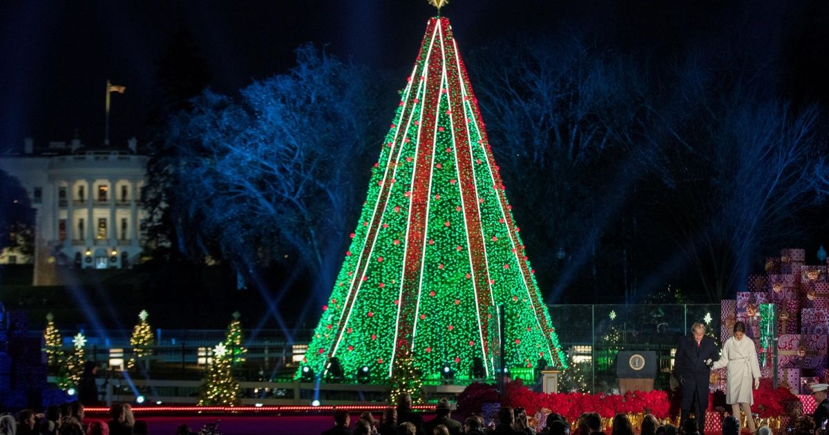 Trump enciende las luces del Árbol Nacional de Navidad 