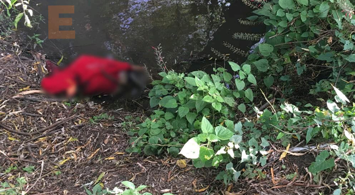 Encuentran el cadáver de una mujer en un canal de riego de Zamora, Michoacán