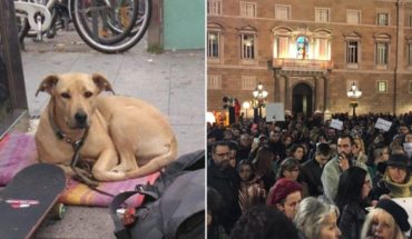 Indignación en Barcelona porque un policía mató a una perra en la Gran Vía