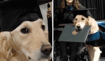 Perrito se gradúa en una maestría en EEUU