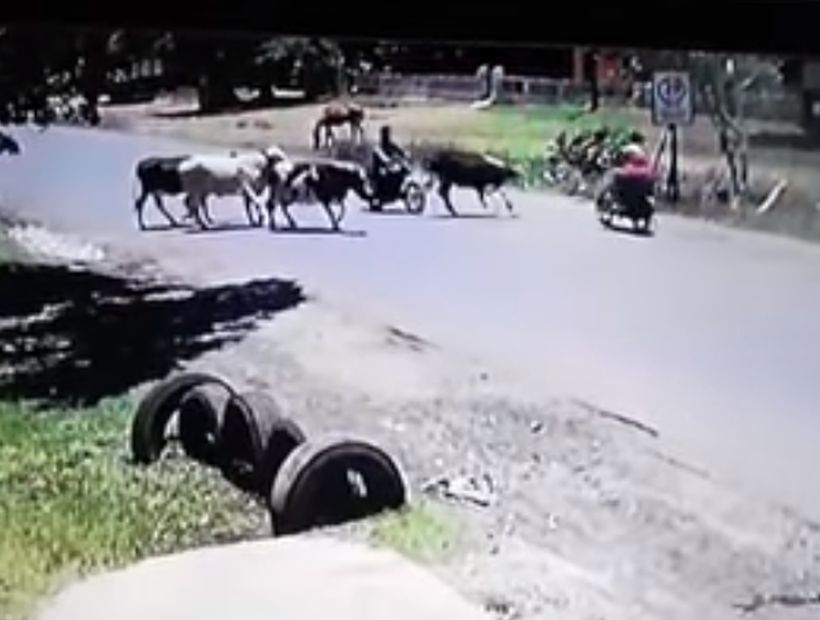 [VIDEO] "Vaca Karateca" que le mandó una patada voladora a una mujer en moto se volvió viral