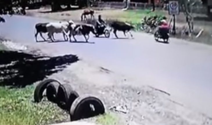 [VIDEO] “Vaca Karateca” que le mandó una patada voladora a una mujer en moto se volvió viral