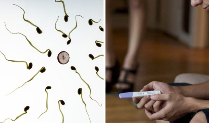 Varicocele, la enfermedad que causa infertilidad en hombres