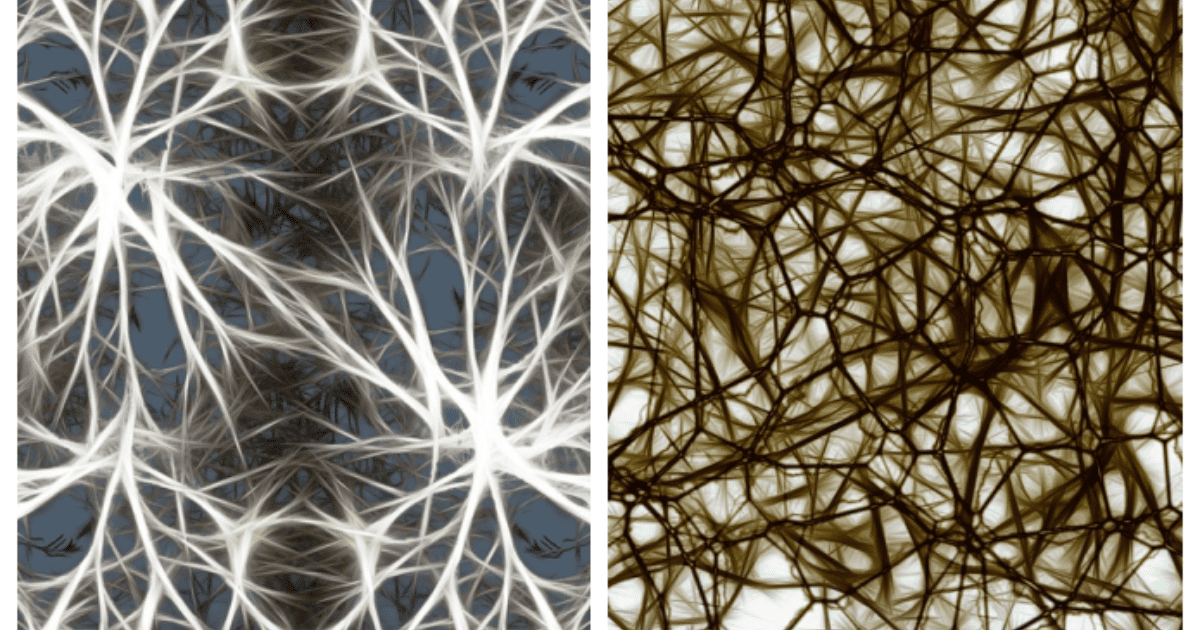 Adiós al mito: Las neuronas sí se regeneran en la adultez