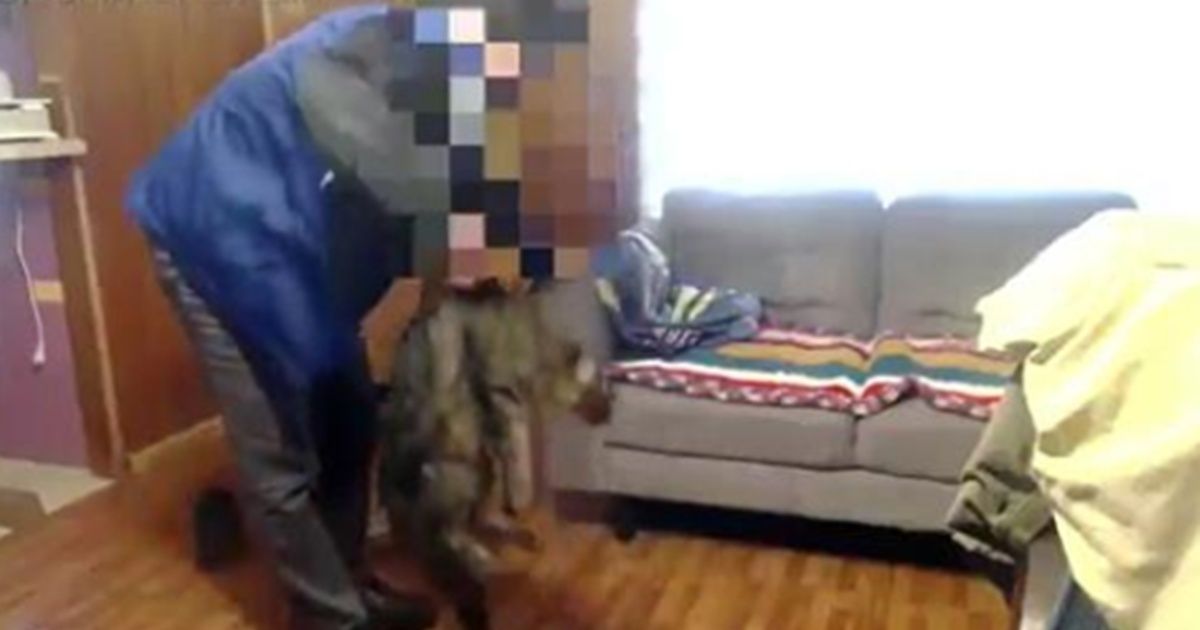 El repudio a "Peluchin Entertainment", el youtuber chileno que torturó hasta la muerte a un gato y publicó el video