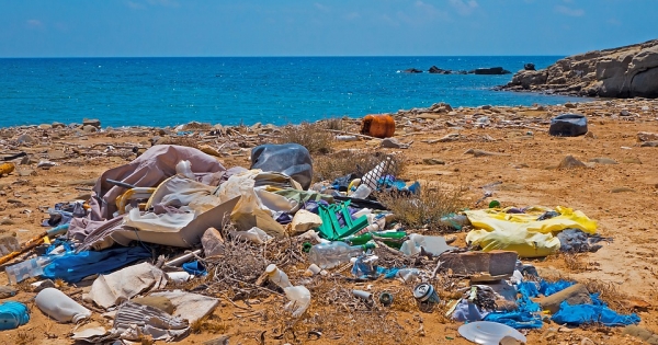 Fines for those who dirty beaches, rivers and national parks