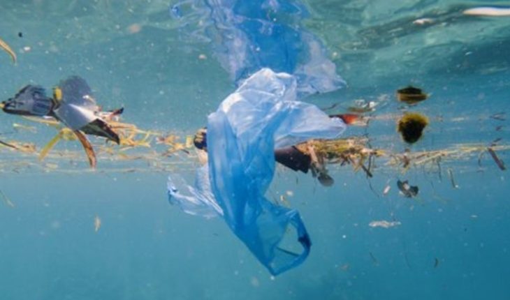 Alertan por contaminación irreversible a causa de plásticos en los océanos