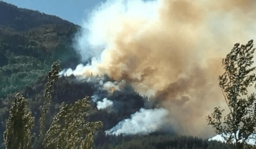 Todavía no lograron controlar los incendios forestales en Chubut