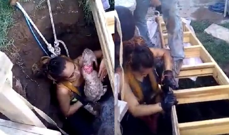 translated from Spanish: A girl slipped into a pit of 12 meters deep to save two dogs