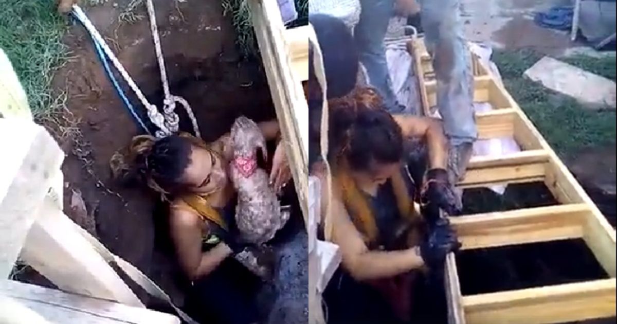 A girl slipped into a pit of 12 meters deep to save two dogs
