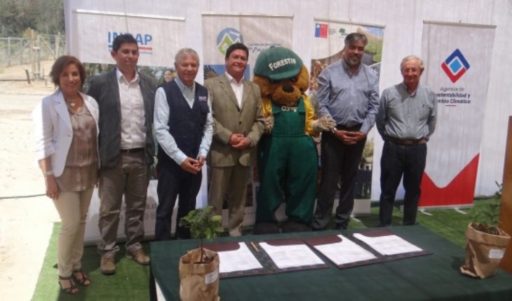 translated from Spanish: Public-private partnership will add 10 thousand hectares of native forest with sustainable forest management