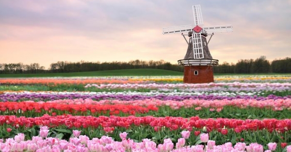The Netherlands revolutionize agriculture