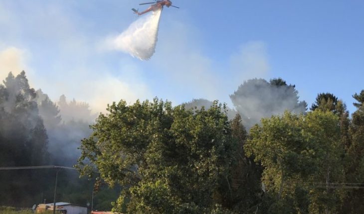 34 incendios forestales se encuentran activos en la zona centro sur del país