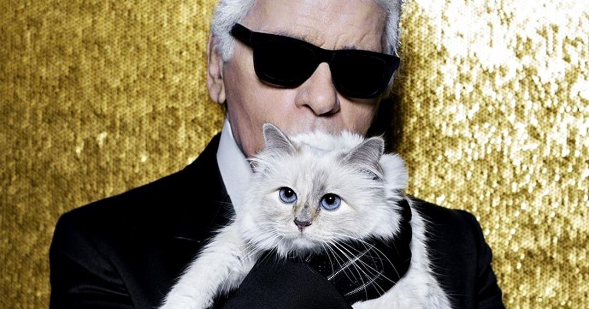 Choupette, la gata influencer de Karl Lagerfeld que heredará su fortuna