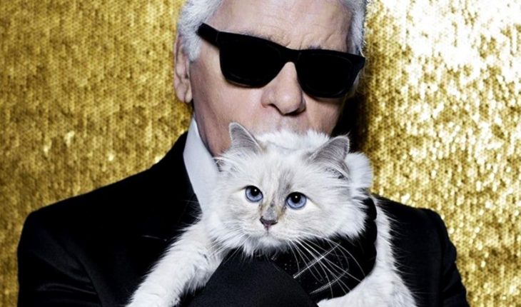 Choupette, la gata influencer de Karl Lagerfeld que heredará su fortuna
