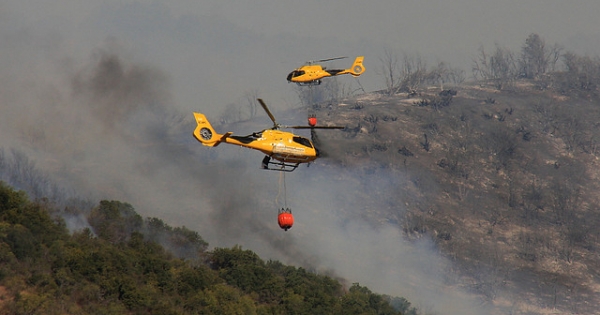 Conaf informa 30 incendios forestales en el país y confirma dos víctimas fatales en La Araucanía