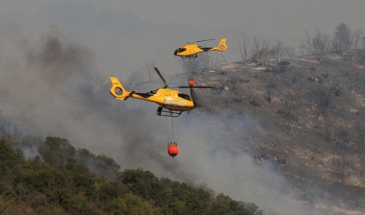 Conaf informa 30 incendios forestales en el país y confirma dos víctimas fatales en La Araucanía
