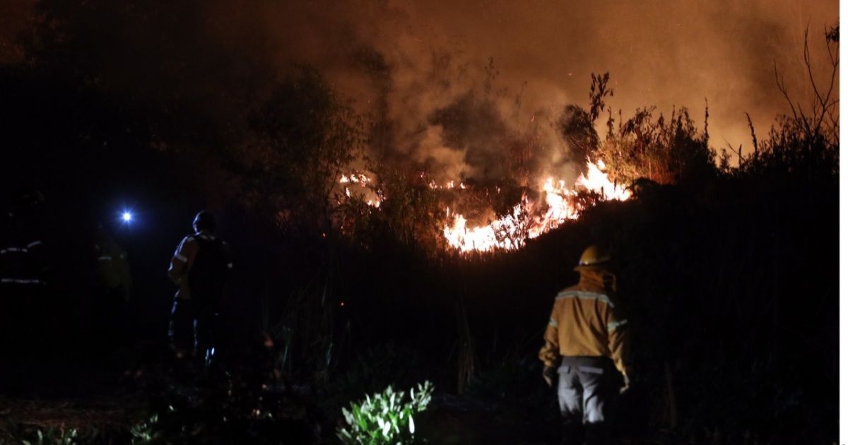 Controlan incendio en Xochimilco  | EL DEBATE